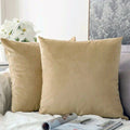 Beige Soft feel Velvet Cushion cover
